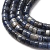 Natural Sodalite Beads Strands G-P468-19-9