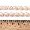 Electroplated Shell Pearl Beads Strands BSHE-B008-07B-4