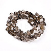 Natural Smoky Quartz Beads Strands G-B072-C01-02-01-2