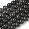 Natural Ice Obsidian Beads Strands G-P590-A03-10mm-03-2