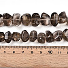 Natural Smoky Quartz Beads Strands G-B072-C01-02-01-4