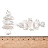 Natural Nucleated Baroque Keshi Pearl Beaded Big Pendants PALLOY-JF05619-3