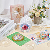 Transparent PVC Display Dome FIND-WH0422-65A-5