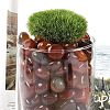 Dyed & Heated Natural Agate Beads X-G-J402-02A-01-3