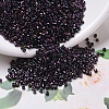 MIYUKI Delica Beads X-SEED-J020-DB0004-1
