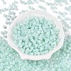 Glass Seed Beads SEED-T008-01E-2