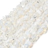 Opalite Beads Strands G-P332-11-2