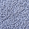 MIYUKI Round Rocailles Beads SEED-G007-RR0498-3