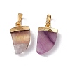 Natural Fluorite Pendants G-L479-43G-2