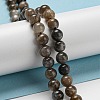 Natural Black Moonstone Beads Strands G-A219-A01-02-6