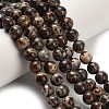 Natural Astroite Jasper Beads Strands G-H329-C02-6mm-1