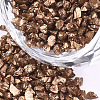 FGB Plated Glass Seed Beads SEED-S020-03E-17-1