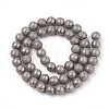 Electroplate Shell Pearl Beads Strands SHEL-T005-08B-2