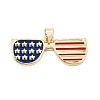 Alloy Enamel Pendants AL-CBAC8B4-03B-G-1