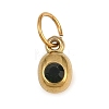 Birthstone 304 Stainless Steel Rhinestone Pendants STAS-L312-02G-02-1