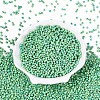 Picasso Glass Seed Beads GL-N001-01B-05-2