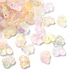 Gradient Color Transparent Acrylic Beads LS-OACR-M023-05G-1