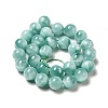 Natural Glass Beads Strands G-I247-31E-4