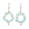 Natural Gemstone Beaded Dangle Earrings EJEW-JE07215-4