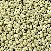 TOHO Round Seed Beads SEED-TR08-PF0559F-2