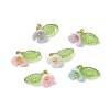 6pcs Resin Imitation Pearl Charms PALLOY-JF03423-1