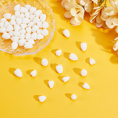 60Pcs 2 Styles Opaque Resin Beads RESI-WR0001-21-1