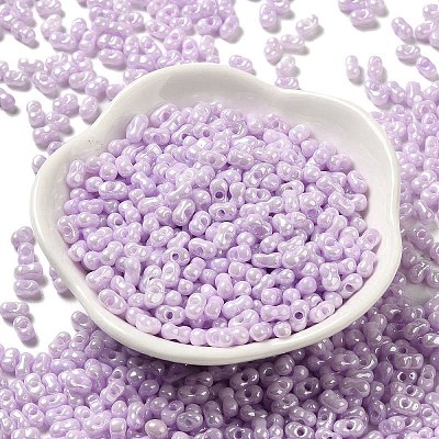 Glass Seed Beads SEED-K009-02B-06-1