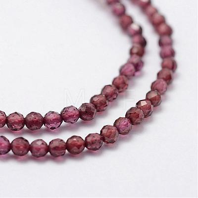 Natural Garnet Beads Strands G-K185-07A-1