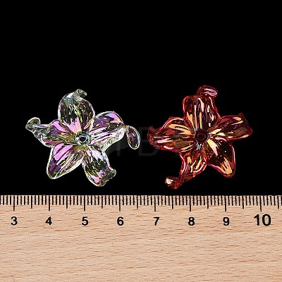 Transparent Acrylic Beads X-MACR-K358-06B-1