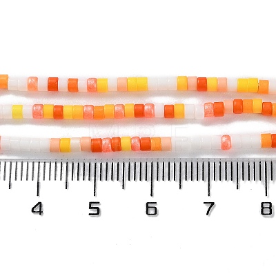 Handmade Czech Lampwork Beads Strands LAMP-L078-008B-1