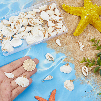 80Pcs 8 Styles Natural Mixed Shell Pendants PALLOY-BM00008-1