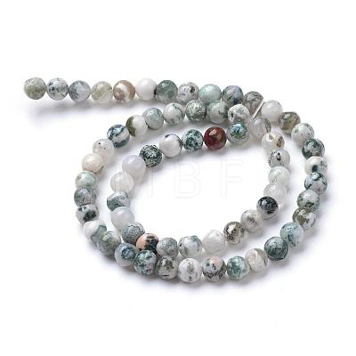 Natural Tree Agate Bead Strands G-R411-25-4mm-1