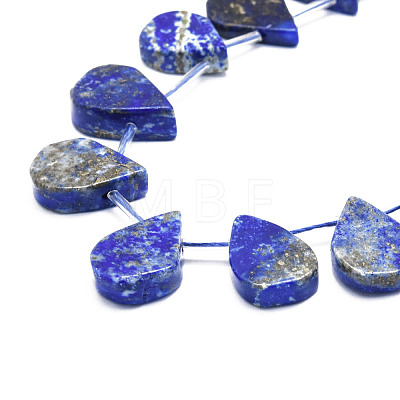 Natural Lapis Lazuli Beads Strands G-E569-R10-1