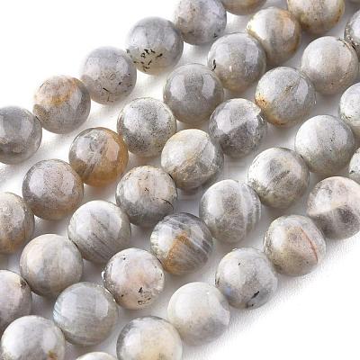 Natural Labradorite Beads Strands G-G212-8mm-23-1