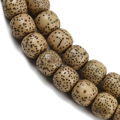 Natural Rudraksha Bodhi Seed Beads Strand WOOD-B010-A03-8x9mm-1
