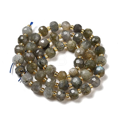 Natural Labradorite Beads Strands G-P508-A20-01-1