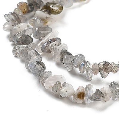 Natural Labradorite Beads Strands G-G0003-B43-1