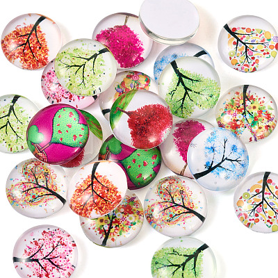 24Pcs 12 Style Glass Cabochon GLAA-TA0001-71-1