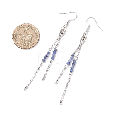 Round 304 Stainless Steel Natural Sodalite Dangle Earrings EJEW-JE06783-02-1