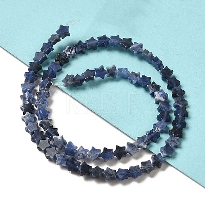 Natural Sodalite Beads Strands G-G085-B18-02-1