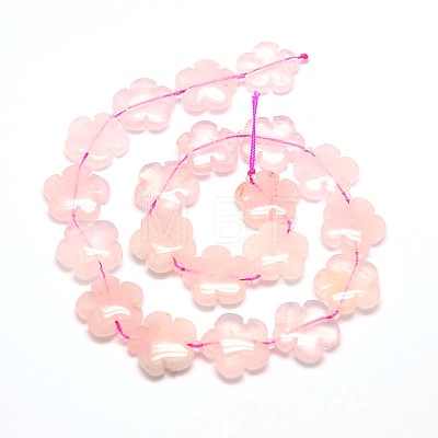 Natural Rose Quartz Flower Beads Strands G-L241A-05-1