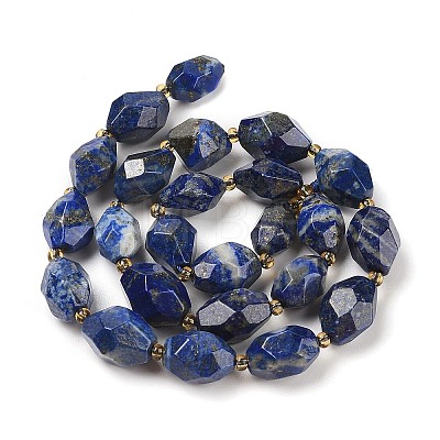 Natural Lapis Lazuli Beads Strands G-P541-A01-05-1