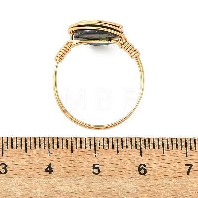 Flat Round Abalone Shell/Paua Shell Finger Rings RJEW-JR01031-1