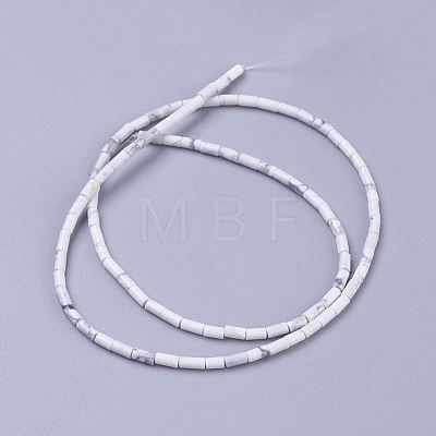 Natural Howlite Beads Strands G-G783-06-1