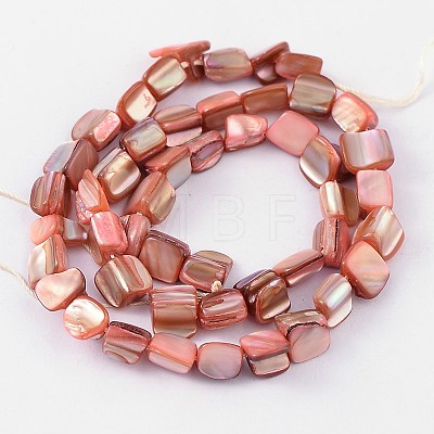 Natural Shell Beads Strands PBB049Y-1