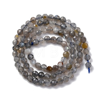 Natural Labradorite Beads Strands G-G188-B11-02-1