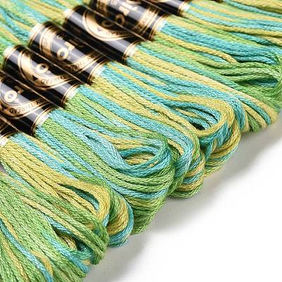 10 Skeins 6-Ply Polyester Embroidery Floss OCOR-K006-A22-1