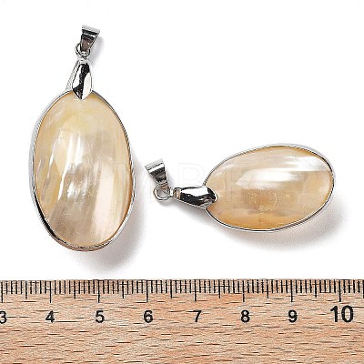 Electroplate Natural Shell Big Pendants KK-F882-05P-1