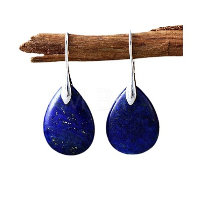 Teardrop Brass Dangle Earrings FS-WGF2982-01-1