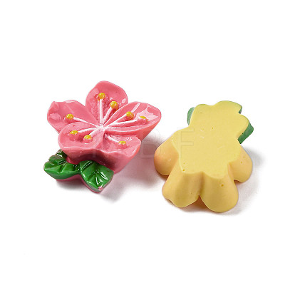 Opaque Resin Cabochons RESI-R455-01K-1
